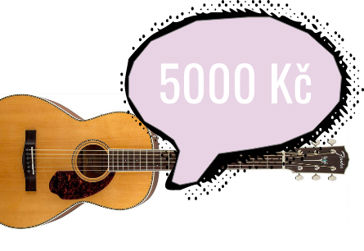 Jakou kytaru do 5000 Kč