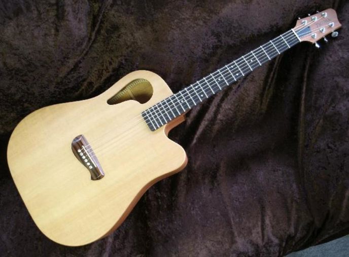 Tacoma Guitar wing series<br>